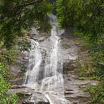 Rio-Safari-Tour