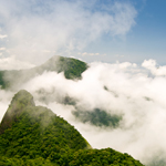 Tijuca Forest Tour